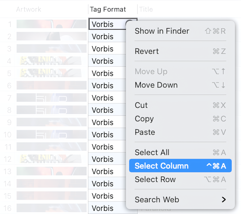 How to select Tag Format cells in the Tag Editor