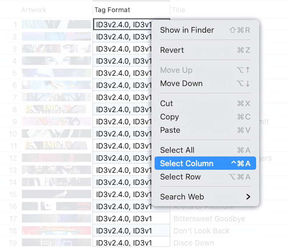 How to select Tag Format cells in the Tag Editor