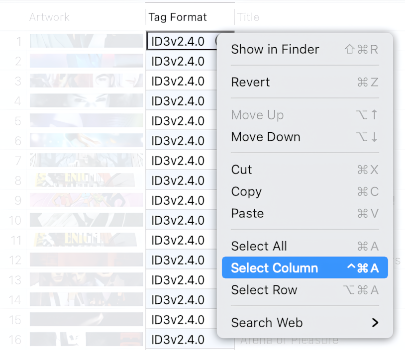 How to select Tag Format cells in the Tag Editor